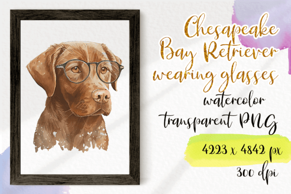 Download Chesapeake Bay Retriever Wearing Glasses - Premium Resources