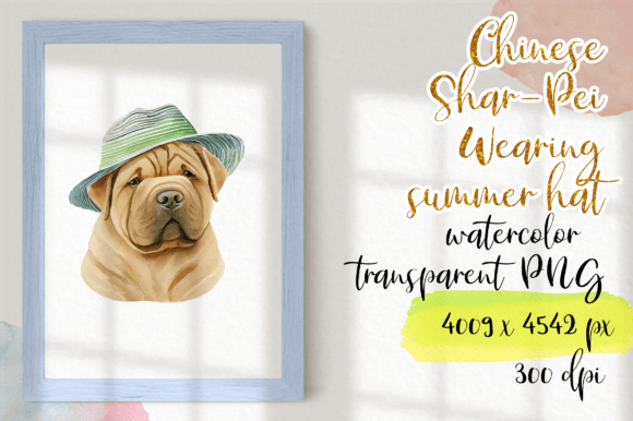 Download Chinese Shar-Pei Wearing Summer Hat - Premium Bundle